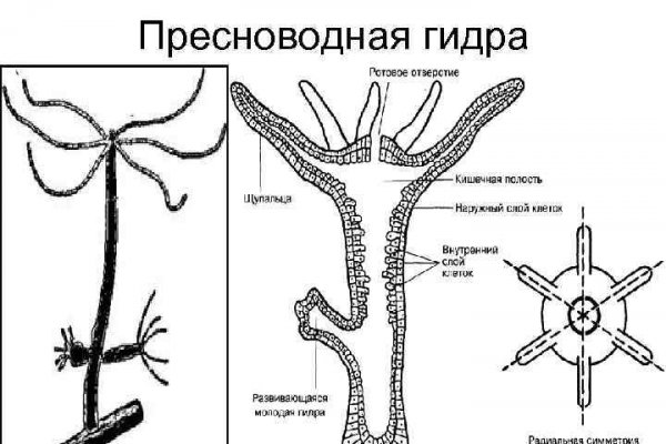 Кракен маркетплейс kr2web in площадка торговая