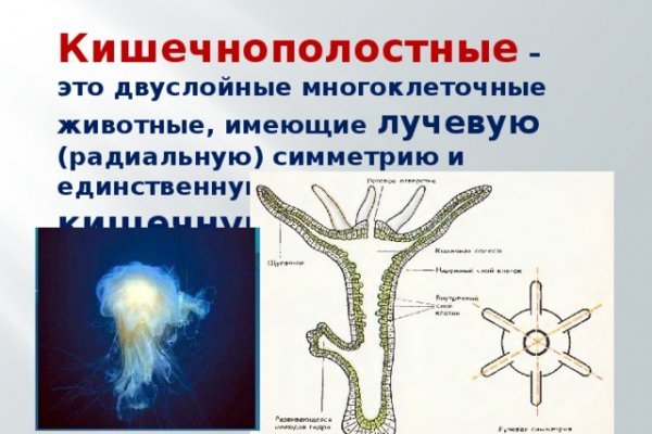 Список сайтов даркнета