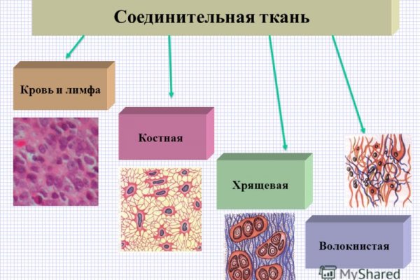 Что такое кракен только через тор