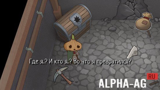 Магазин наркоты