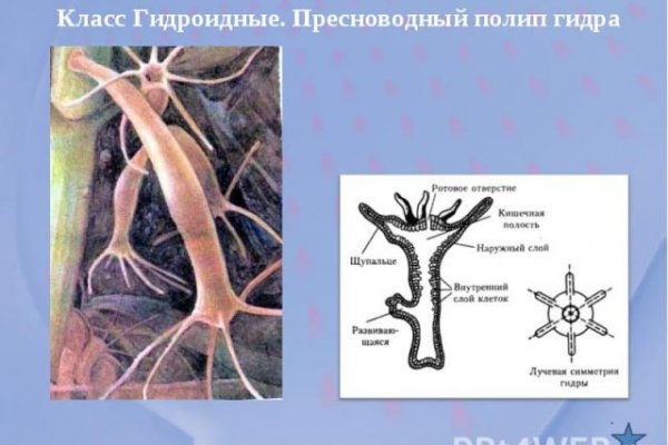 Сайт кракен официальный ссылка onion