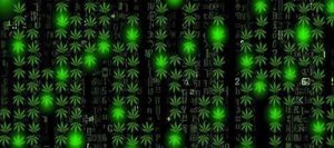 Официальный сайт kraken kraken clear com