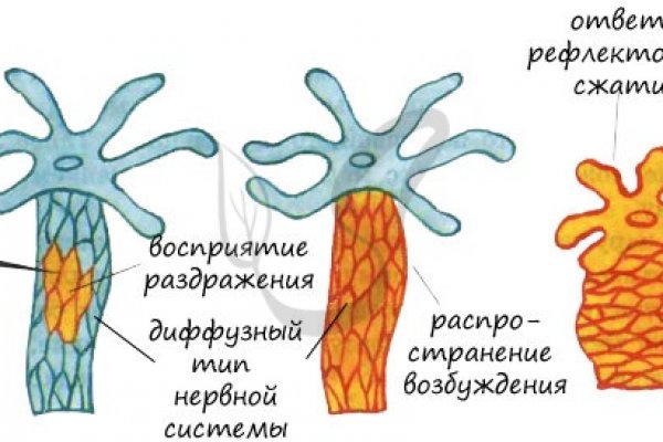 Ссылка на кракен даркнет