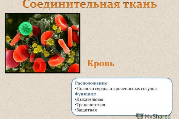 Кракен орг