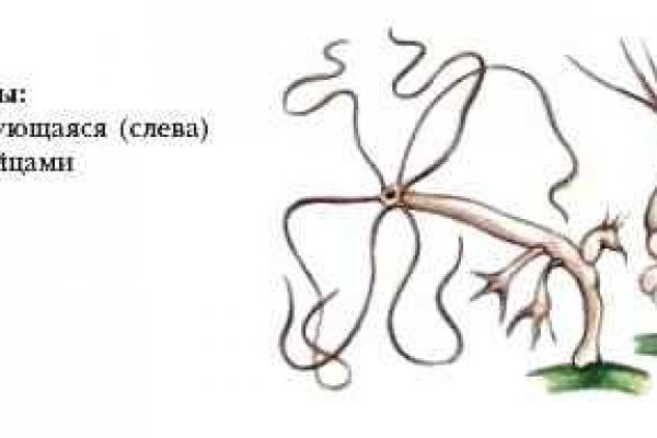 Kra46at