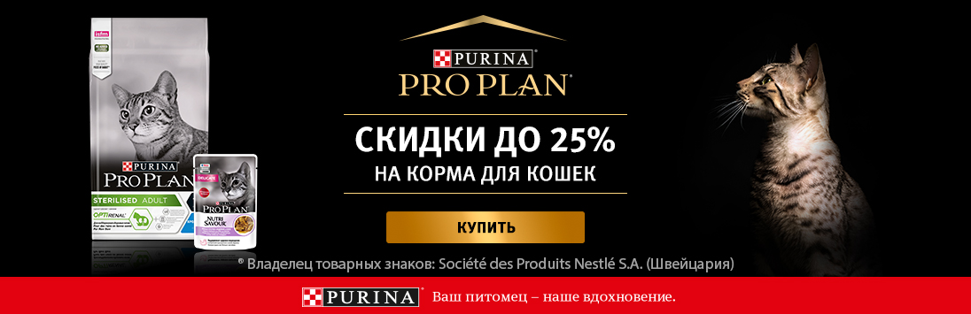 Кракен онион даркнет площадка